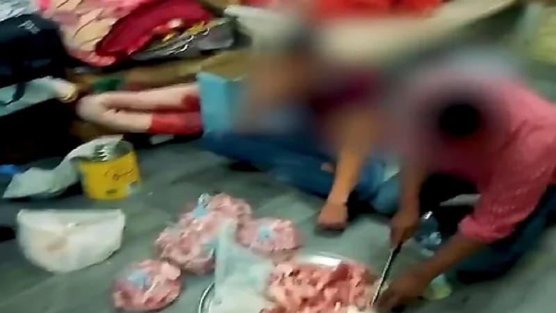 بالفيديو.. الإطاحة بعمالة مخالفة وزعت لحوم ودواجن مجهولة المصدر على المطاعم