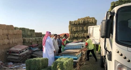 بالصور.. ضبط باعة أعلاف مخالفين في مكة