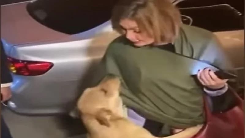 يسرا: طريقة تعاملك مع الكائن الضعيف بتقول عنك كتير