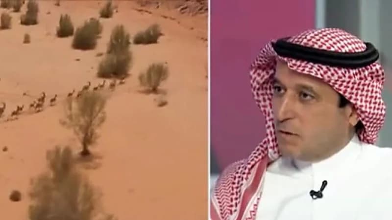 البوق: أطلقنا أكثر من 1200 كائن فطري لـ بيئته الطبيعية في الفترة الماضية (فيديو)