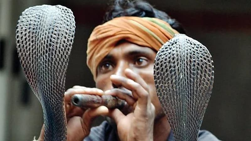 امرأة تستعين بأفعى وعازف لتخلص من حبيبها