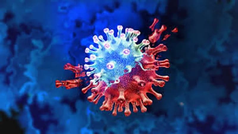 مختص يكشف عن الموعد المتوقع لرفع قيود كورونا والإجراءات الطارئة "فيديو"