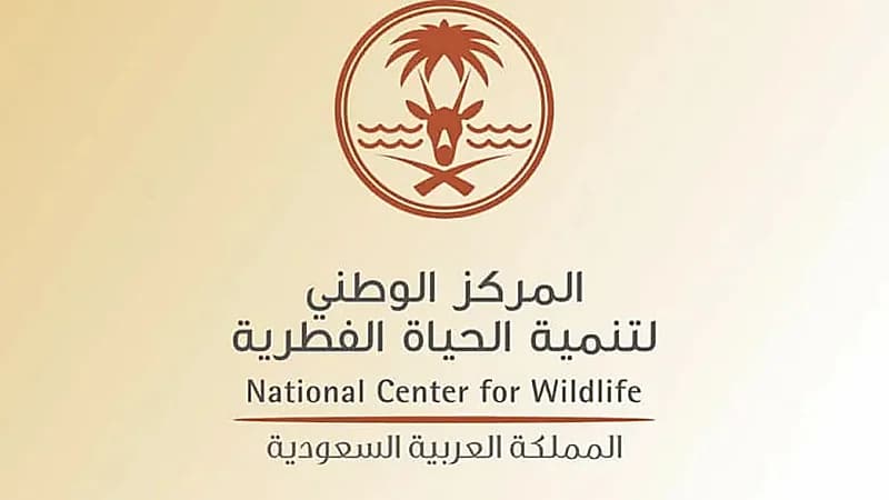 السجن وغرامة مالية 400 ألف ريال لصاحب مقطع تعذيب قرود البابون