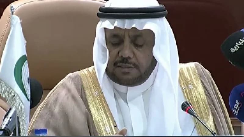 "السحيباني": المملكة تسعى لوقف التصعيد وتوحيد الصف في السودان الشقيق (فيديو)