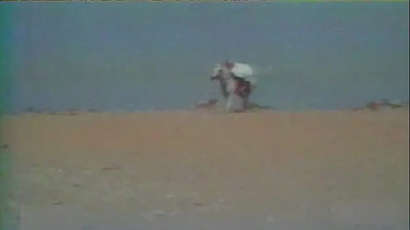 قصة هادي بن قرملة الذي حارب بضراوة وقاتل ببأس (فيديو)