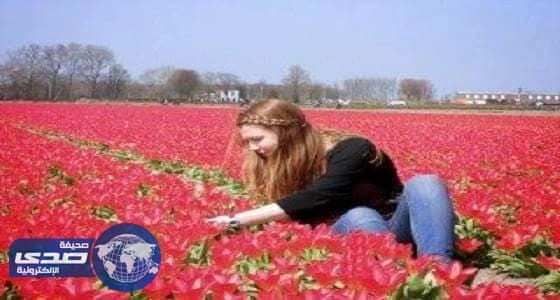 أشهر 10 دول إنتاجاً وتصديراً للزُّهور