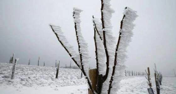 بالصور..لمدة 10 ايام ..درجات الحرارة تتدنى لأقل من الصفر في سويسرا