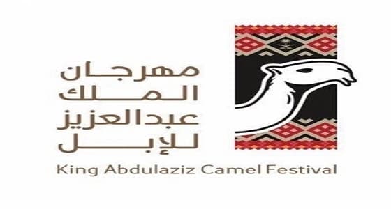 تحكيم المغاتير لمزايين الإبل تستعرض اليوم 12 منقية في فئة جْمل 100 وضح